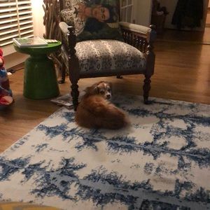 Meet your Posher, Richard